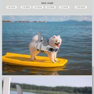 Gray Dog Life Jacket with Shark Fin